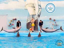 Dolphins Bay Phuket Tickets, RM 51.34