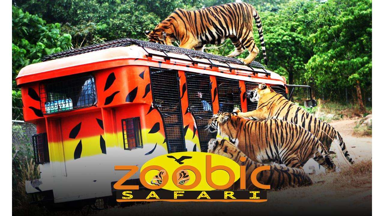 zoobic safari google map