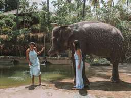 Lombok Wildlife Park Tickets
, USD 29.81