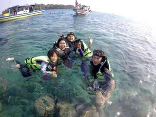 Dolphin & Harapan Island Tour - 2 Days 1 Night