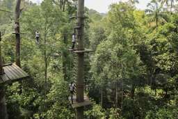 Tiket Skytrex Langkawi Adventure, RM 49.50