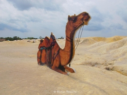 Tanjung Uban Scenic Voyager 5