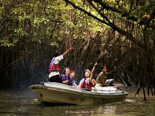 Bintan Mangrove Discovery - 2-Hour Tour
