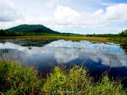 Gunung Bintan Trekking - 4-Hour Tour, USD 33.82
