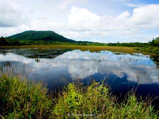 Gunung Bintan Trekking - 4-Hour Tour