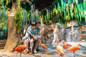 ตั๋วเข้าชมสวนสัตว์ในร่ม Zoolung Zoolung สาขา Seoul Times Square | โซล เกาหลีใต้