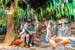 Zoolung Zoolung Indoor Animal Theme Park Discount Ticket (Yeongdeungpo Branch) | Seoul, South Korea, USD 15.51