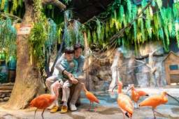 Seoul Yeongdeungpo｜Zoolung Zoolung Indoor Animal Theme Park, Rp 254.794