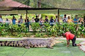 Crocodile Adventureland - Vé vào cửa