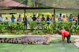 Crocodile Adventureland Tickets, RM 43