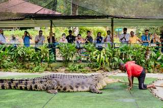 Crocodile Adventureland Tickets, Rp 164.771