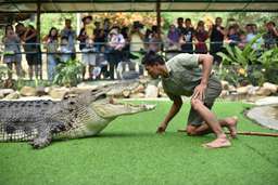 Tiket Crocodile Adventureland, RM 40