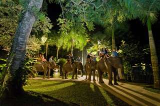 Safari Under The Stars Package Ticket