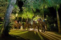 Safari Under The Stars Package Ticket, THB 1,150.19