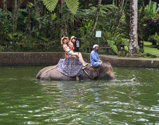 Bathe & Breakfast with Elephant Ride Ticket