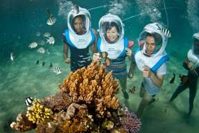 Bali Hai Reef Cruise