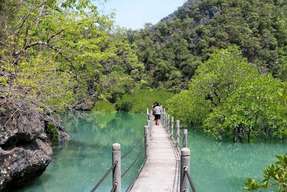 Kilim Nature Park Langkawi Private Boat Mangrove Tour