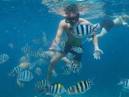 Lembongan Island Tour by Arthamas Express, THB 1,395.95