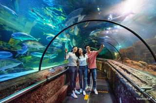 Sea World Ancol Tickets, ₱ 464.47