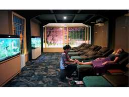 Rawatan Kokuo Reflexology Bintaro