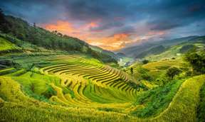 2D1N Tour | Sapa Trekking Tour by Luxury Limousine Transfer