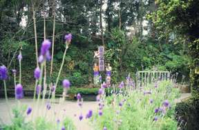 Romantic Taichung One-Day Tour: Lavender Forest, Dakeng Lovers Bridge, Zhongshe Flower Sea, Gaomei Wetland (Departing from Taichung) | Taiwan