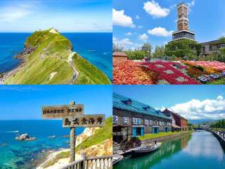 Hokkaido Shakotan Day Tour | Shiroi Koibito Park & Otaru Canal & Shakotan Cape Kamui | Limited-time exploration of the island of Mui Coast or limited-time fruit picking in summer (depart from Sapporo)