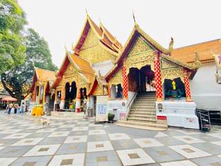 เที่ยวดอยสุเทพ + แวะมหาวิทยาลัยเชียงใหม่ + อิ่มอร่อยกับหมูจุ่ม (โดย  CM Paradise Tour)