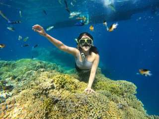 Menjangan and Tabuhan Island Tour, RM 156