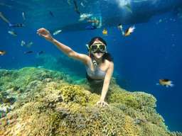 Wisata Pulau Menjangan dan Tabuhan, Rp 510.000