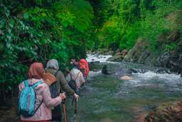 Explore Curug Hordeng and Curug Kembar by Sentul Hill Trekking, Rp 250.000