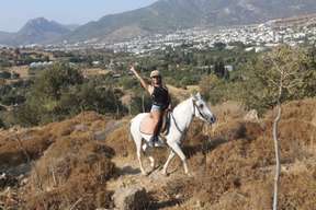 Horseback Riding Experience in Bodrum 