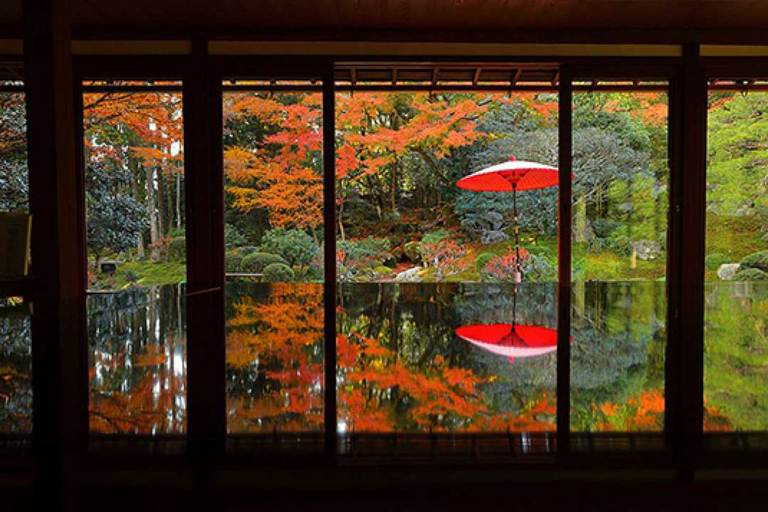 Miho Museum - Arts in Otsu's Countryside