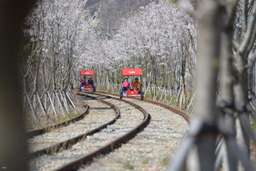 Gyeonggang Railbike Tickets | Gangchon, S$ 29.70