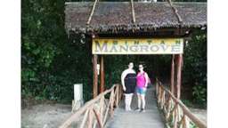 Bintan Mangrove and Firefly Tour, 341.395 VND