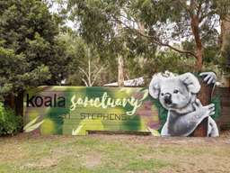 Vé Khu Bảo Tồn Gấu Koala Port Stephens | New South Wales