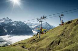 One Day Interlaken & Grindelwald Adventure Experience | Switzerland, 5.354.512 VND