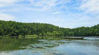 Day Tour | Speedboat Adventure to Can Gio Monkey Island: Wildlife Experience,  Tang Bong Tower Observatory with English & Vietnamese Tour Guide | Ho Chi Minh City - Vietnam