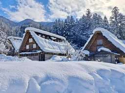 Takayama Shirakawa-go Classic Day Tour｜Hida Takayama Old Street & Shirakawa-go Gassho Village (Depart from Nagoya), USD 59.68