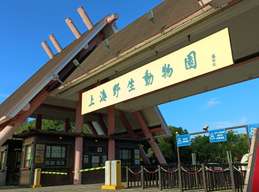 Shanghai Wild Animal Park entry Ticket