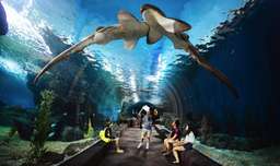 【CNGDS】Siam Ocean World Bangkok, Thailand Ticket, THB 1,268.44