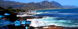 Cape Agulhas Full Day Tour from Cape Town