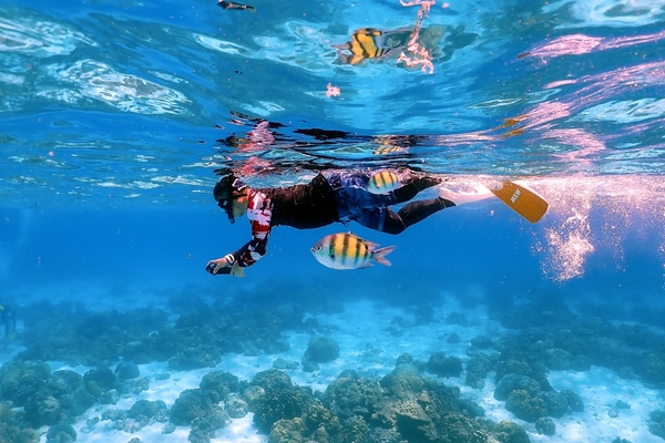 Raya Noi, Raya Yai, and Maiton Island Snorkelling Tour from Phuket 1