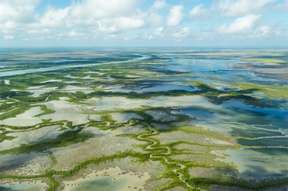 Kakadu in a Day