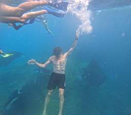 From Bali: Full Day Trip and Snorkelling Tour All Inclusive on Nusa Penida Island, 1.775.255 VND
