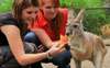 Get up close and personal with kangaroos and koalas at Sydney Zoo