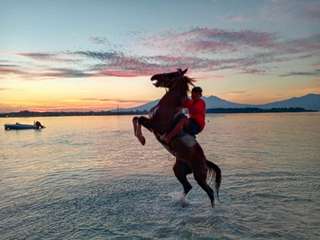 Sunset/sunrise Horse Riding 1 Hour, Rp 489.241