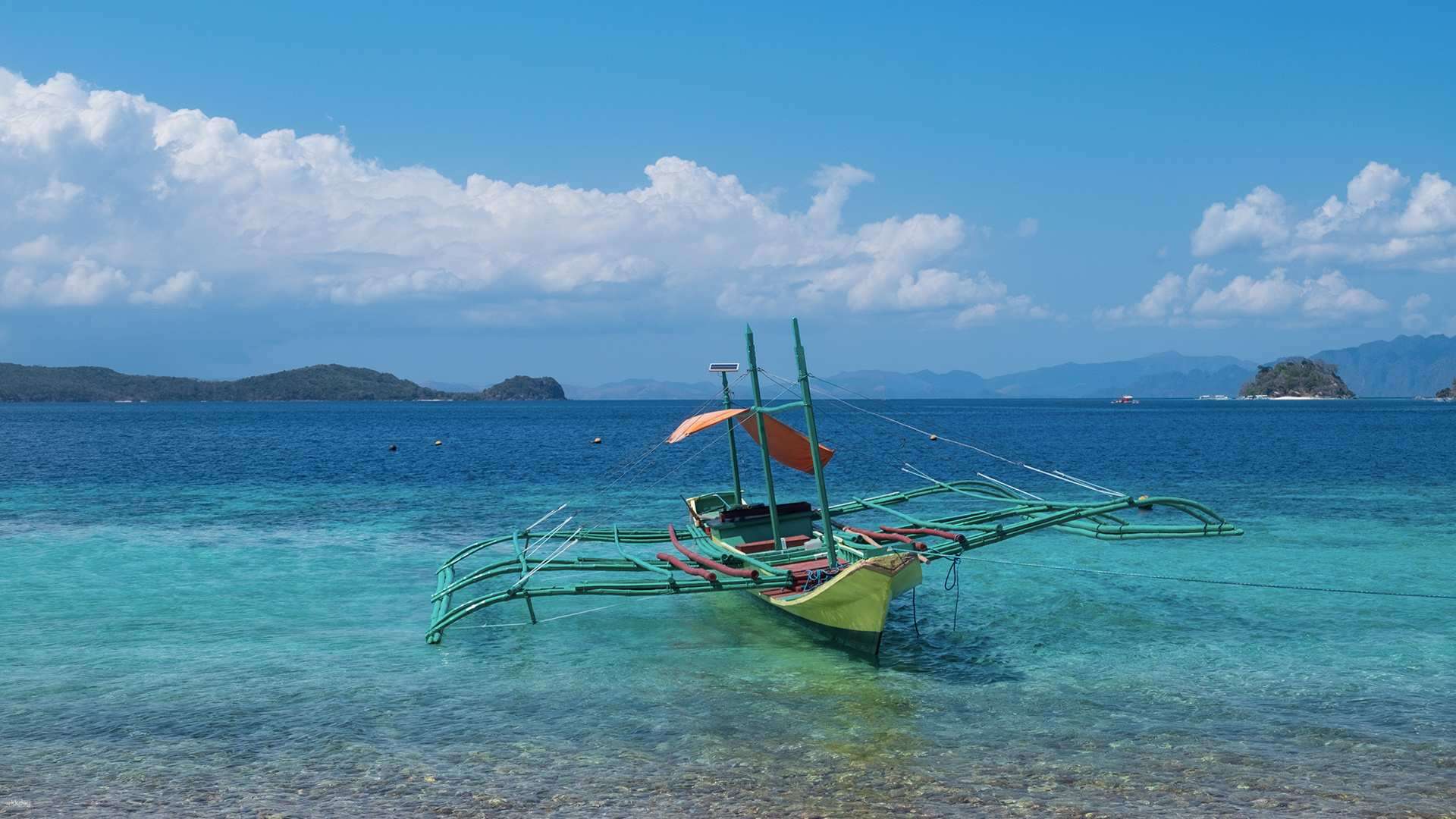 Coron Island Day Tour: Calauit Safari With Optional Island Hopping Tour
