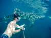 Grab the once-in-a-lifetime experience snorkeling around the whale sharks (approximately 40 minutes)