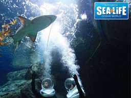 SEA LIFE Bangkok Ocean World Tickets